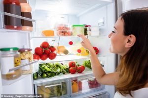 Lee más sobre el artículo Guía de compra de frigoríficos: cómo elegir el frigorífico adecuado para su hogar
