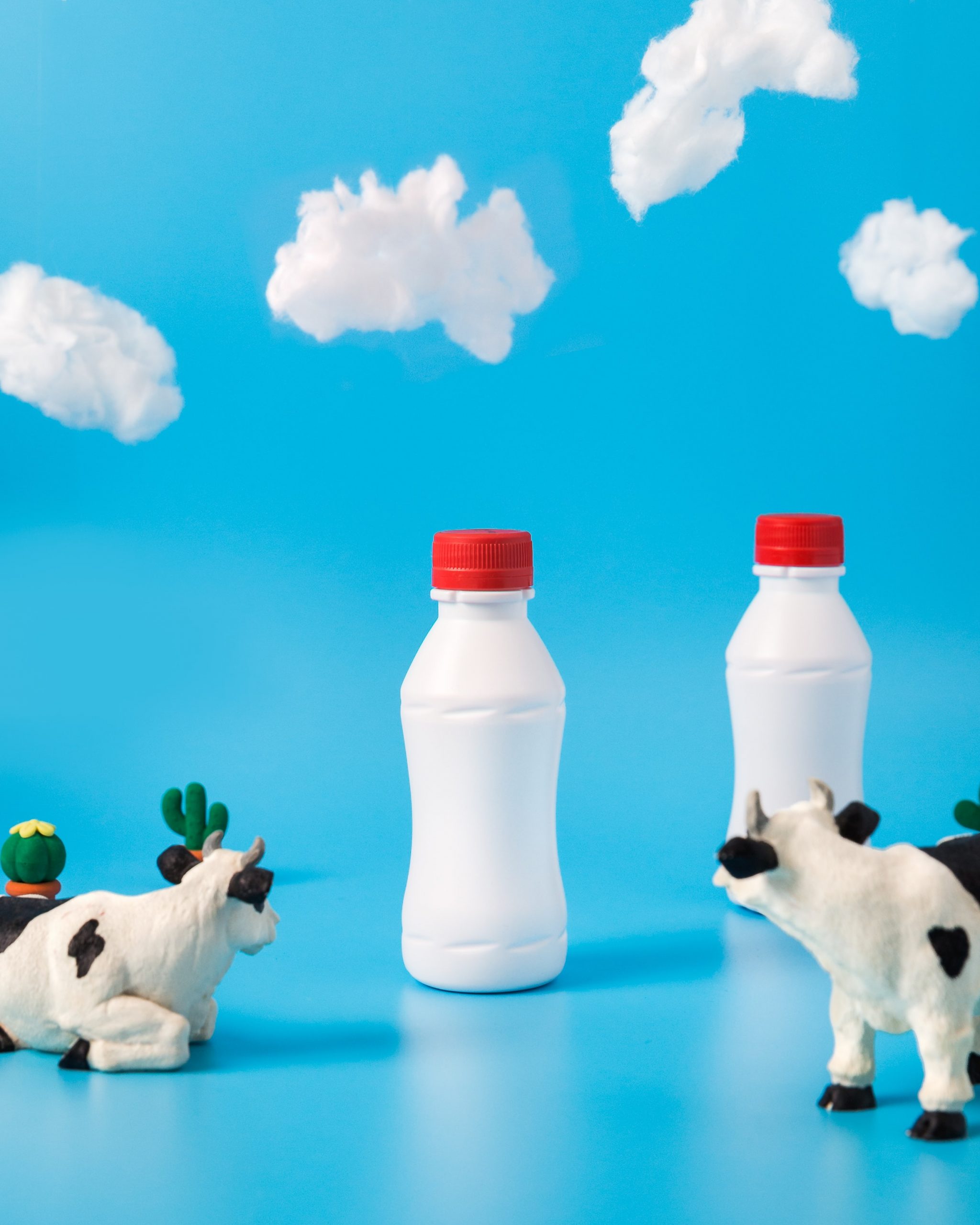 Sustitutos para la intolerancia a los lácteos