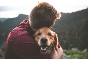 Lee más sobre el artículo Cómo cuidar su salud con las mascotas