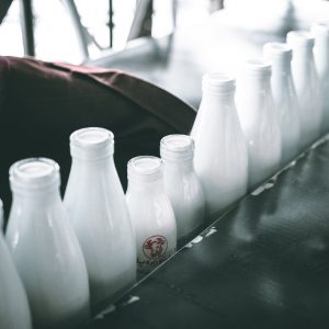 Lee más sobre el artículo Cómo identificar la lactosa en algunos lácteos y alimentos