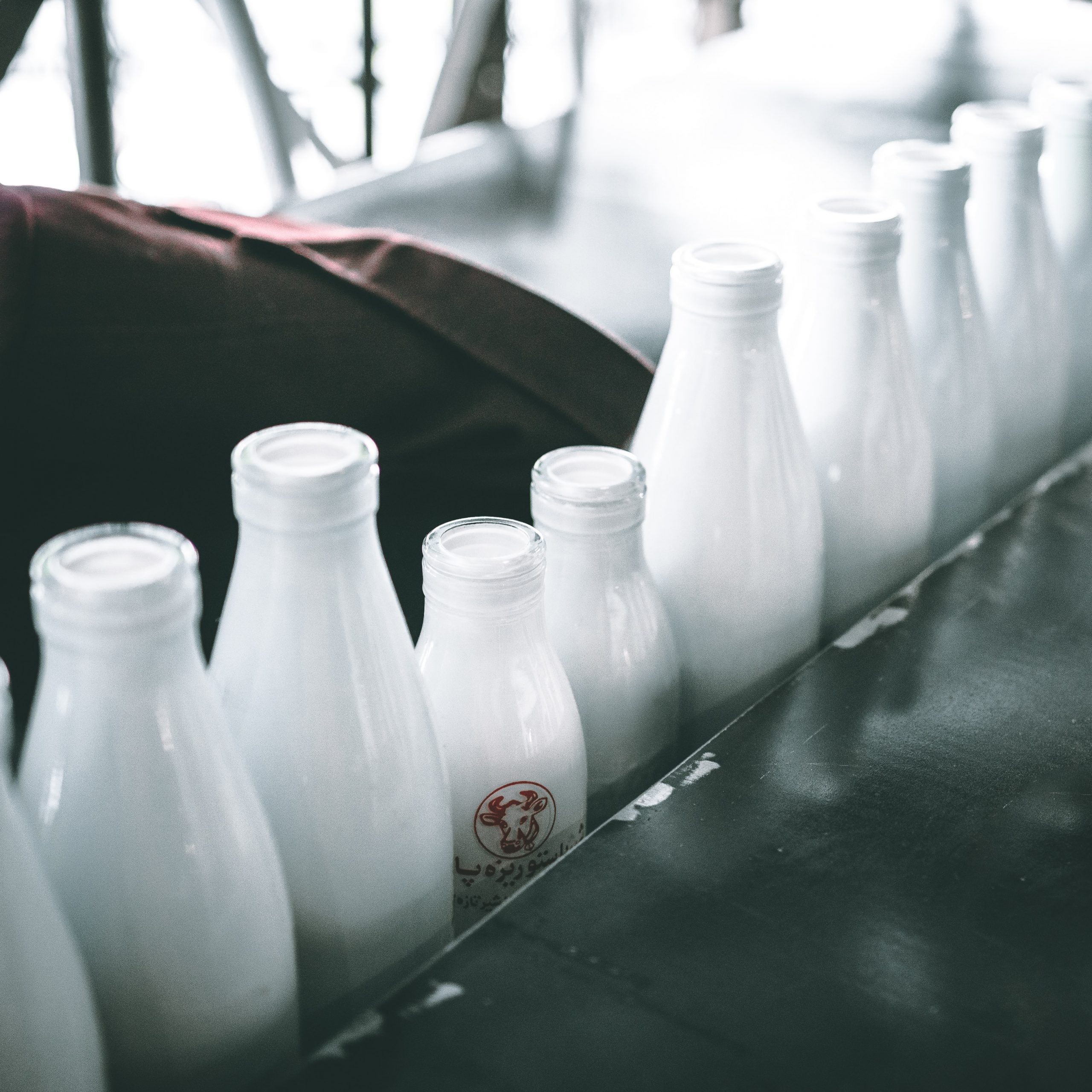 Cómo identificar la lactosa en algunos lácteos y alimentos