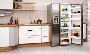 Lee más sobre el artículo Marcas de Refrigeradores que evitar en 2021