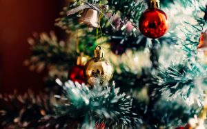 Lee más sobre el artículo Los pinos más increíbles para esta navidad