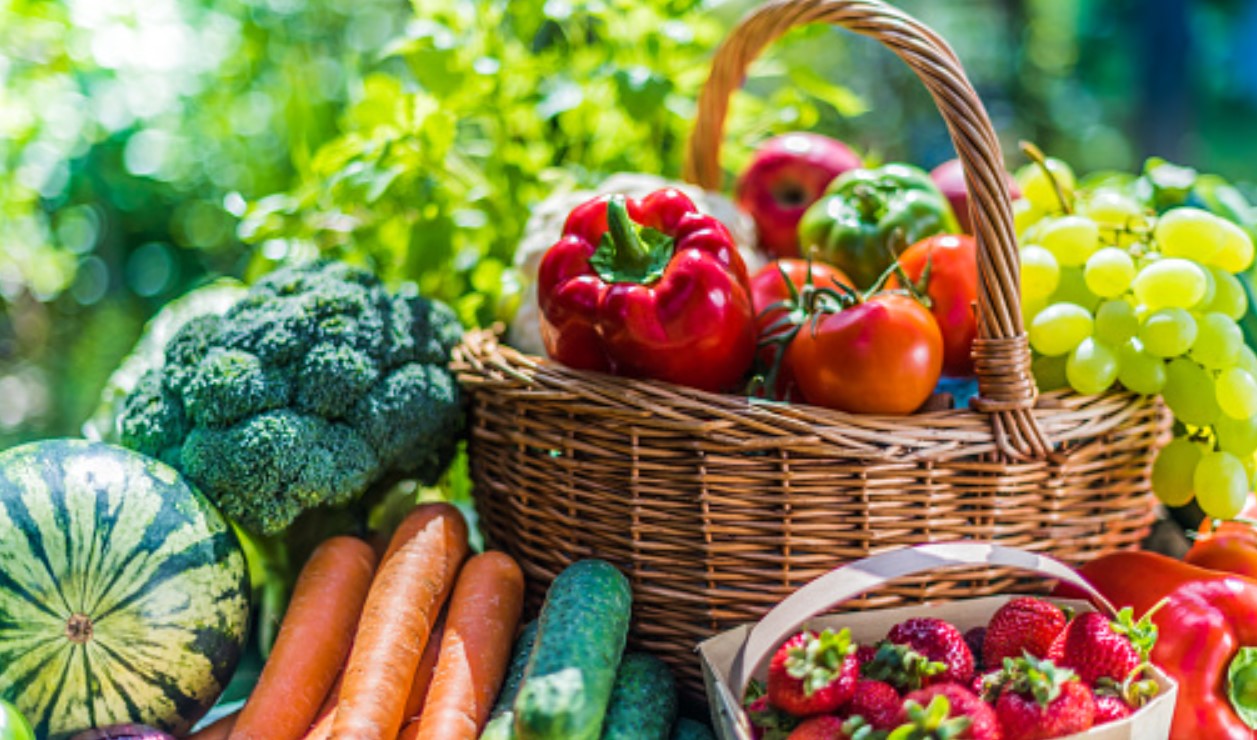 Lee más sobre el artículo Top de verduras saludables bajas en carbohidratos