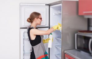 Lee más sobre el artículo Regalos geniales para refrigeradores