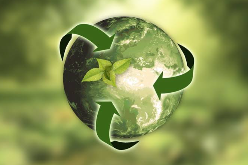 El papel de las soluciones reutilizables en la economía circular